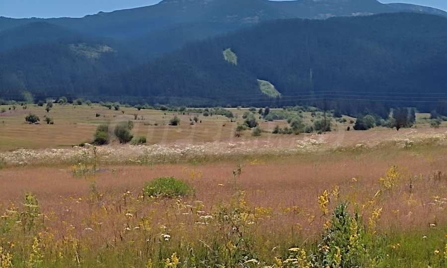 Продава ПАРЦЕЛ | Imot.bg — изображение 6