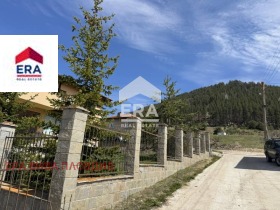 ����� ������� ����,�. ��������, ������ ���������