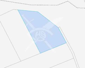 ������ ������� ������