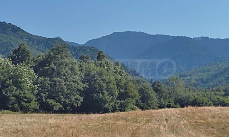À venda  Trama região Sófia , Dolna bania , 3048 m² | 63732186