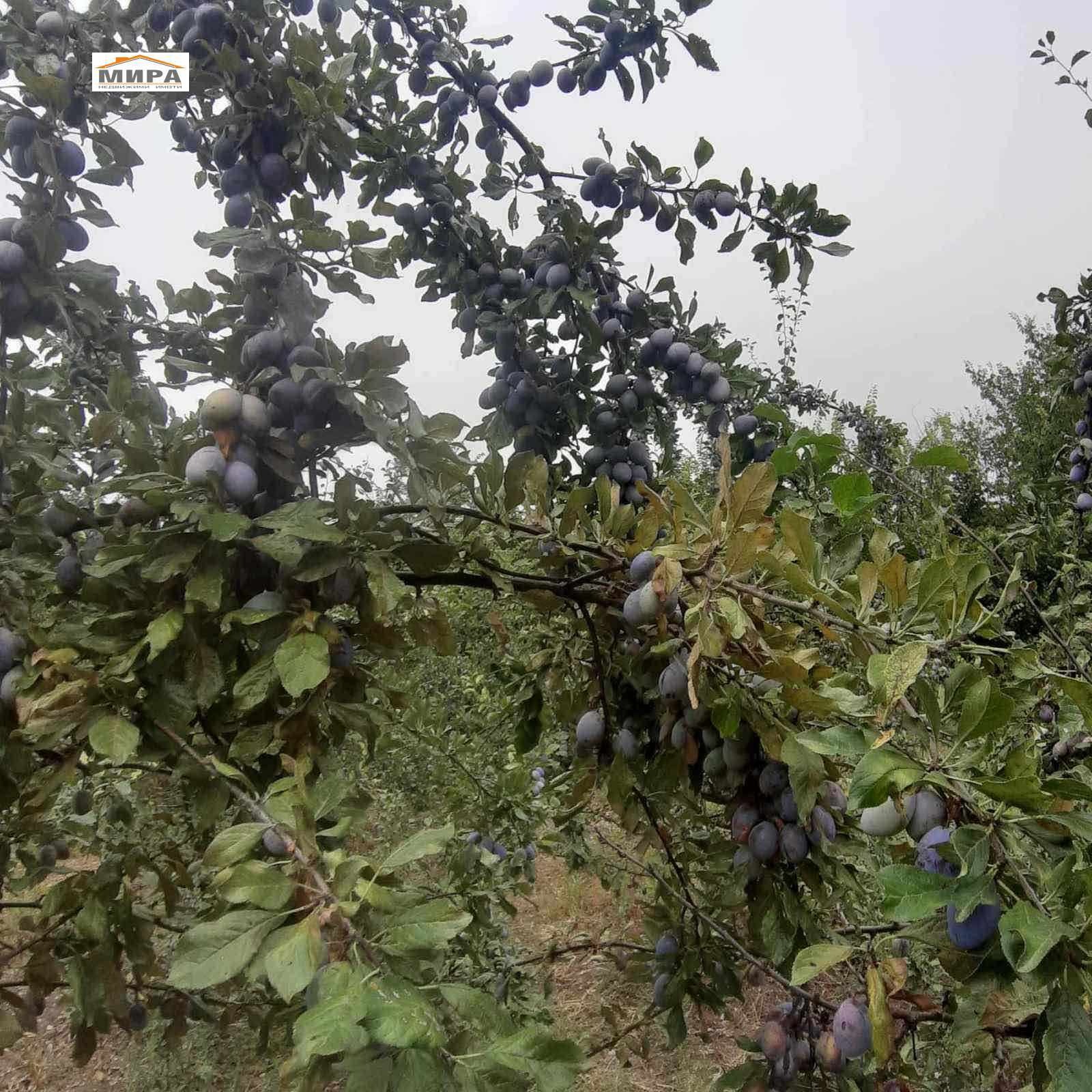 ������� ���� | Imot.bg � ����������� 2