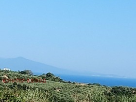 ����� ������� ������,������, ������>