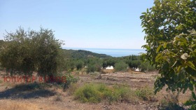 ����� ������� ������,������, ������