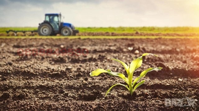 Продава ЗЕМЕДЕЛСКА ЗЕМЯ, гр. Върбица, област Шумен