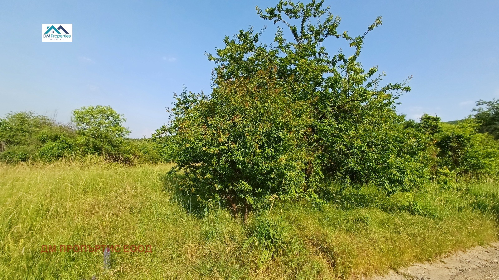 Продава ПАРЦЕЛ, гр. София, с. Лозен, снимка 2 - Парцели - 53916138