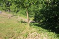 Продава ПАРЦЕЛ, област Габрово, с. Драгановци • 13000 лв. • 98995443 — Holmes.bg