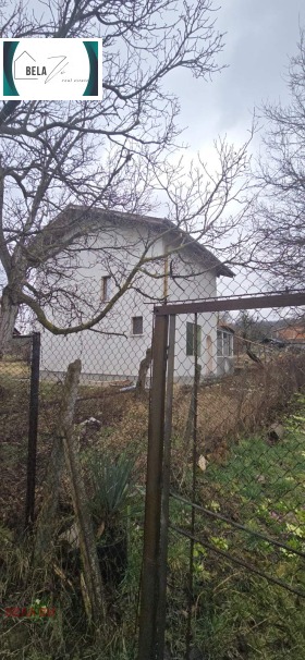 ������ ������� ����