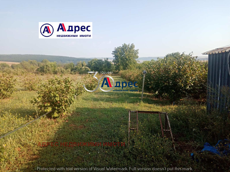 Te koop  Land regio Veliko Tarnovo , Vinograd , 12 dka | 83183118 - afbeelding [3]