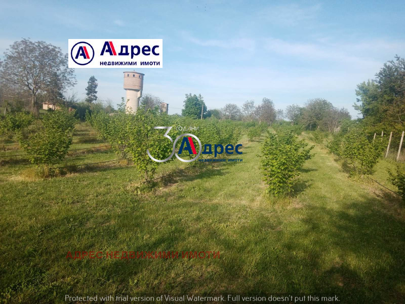 Te koop  Land regio Veliko Tarnovo , Vinograd , 12 dka | 83183118 - afbeelding [2]