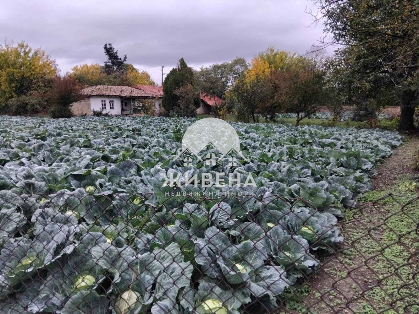 ������� ���� | Imot.bg � ����������� 15