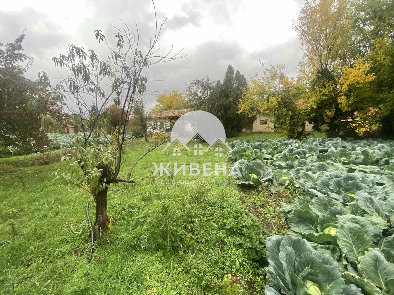 ������� ���� | Imot.bg � ����������� 7