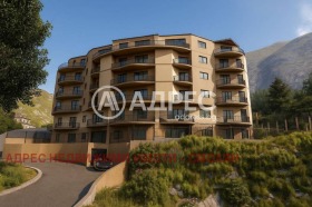 ����� ������� 3-�����,���� ������, ���������