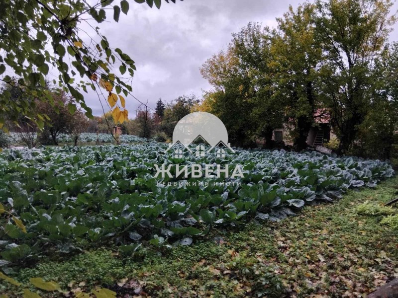Продава КЪЩА, с. Царевци, област Варна, снимка 16 - Къщи - 53421946
