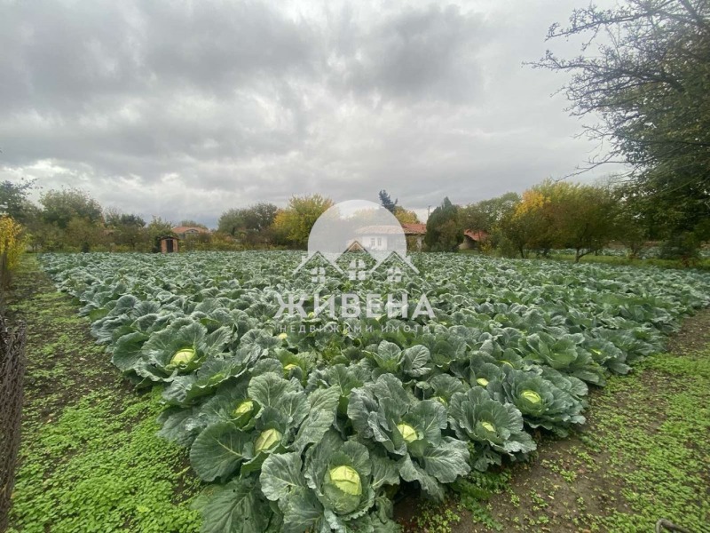 Продава КЪЩА, с. Царевци, област Варна, снимка 17 - Къщи - 53421946