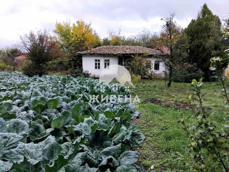 Продава КЪЩА, с. Царевци, област Варна, снимка 6 - Къщи - 53421946