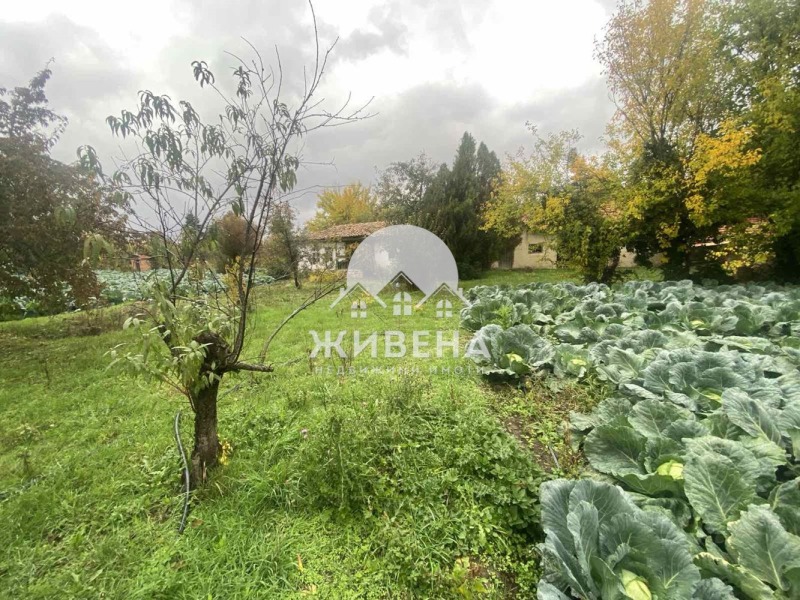 Продава КЪЩА, с. Царевци, област Варна, снимка 7 - Къщи - 53421946