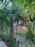 Продава ВИЛА, с. Орешак, област Варна, снимка 4