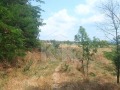 Продава  Парцел град Варна , Западна промишлена зона , 994 кв.м | 79940675 - изображение [2]