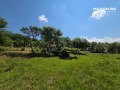 Продава  Къща област Перник , с. Големо Бучино , 52 кв.м | 91317949 - изображение [10]