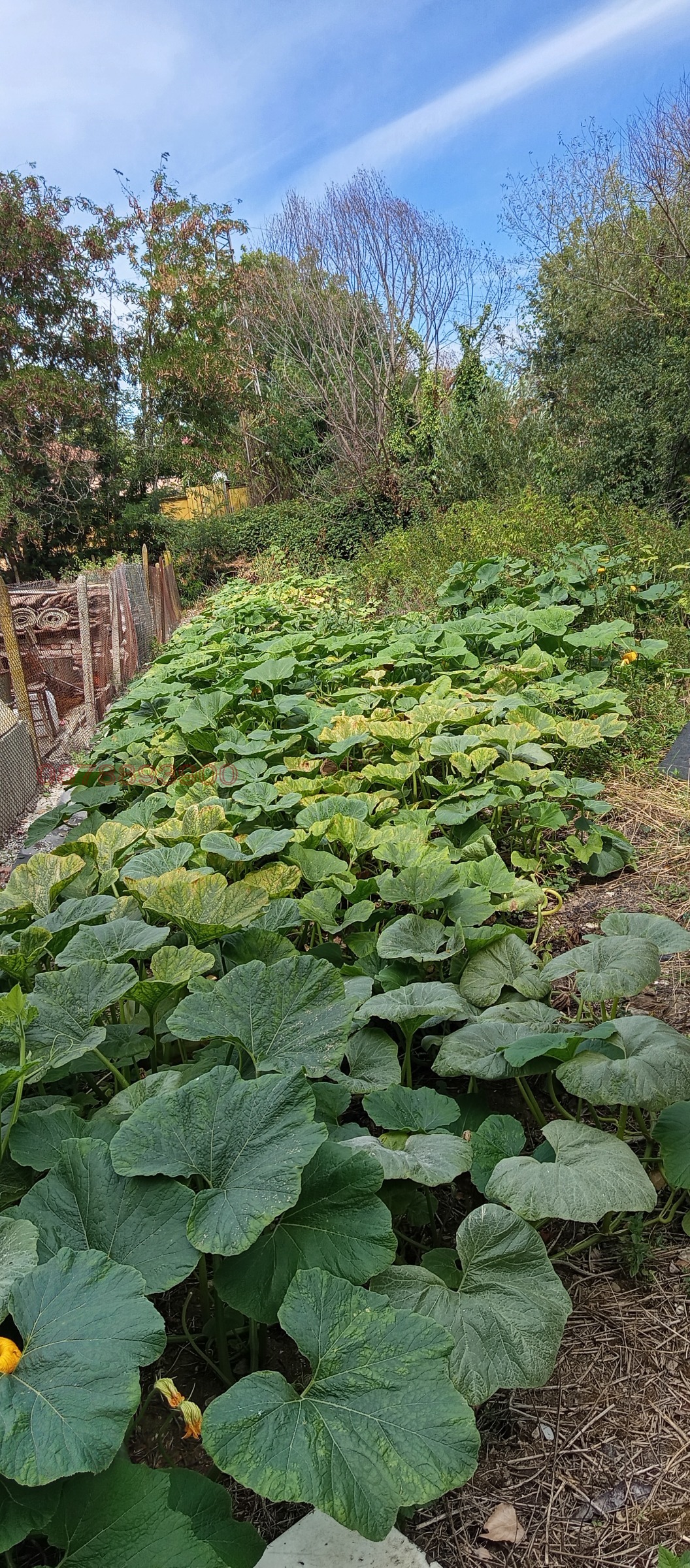 ������� ������������� ������ | Imot.bg � ����������� 16