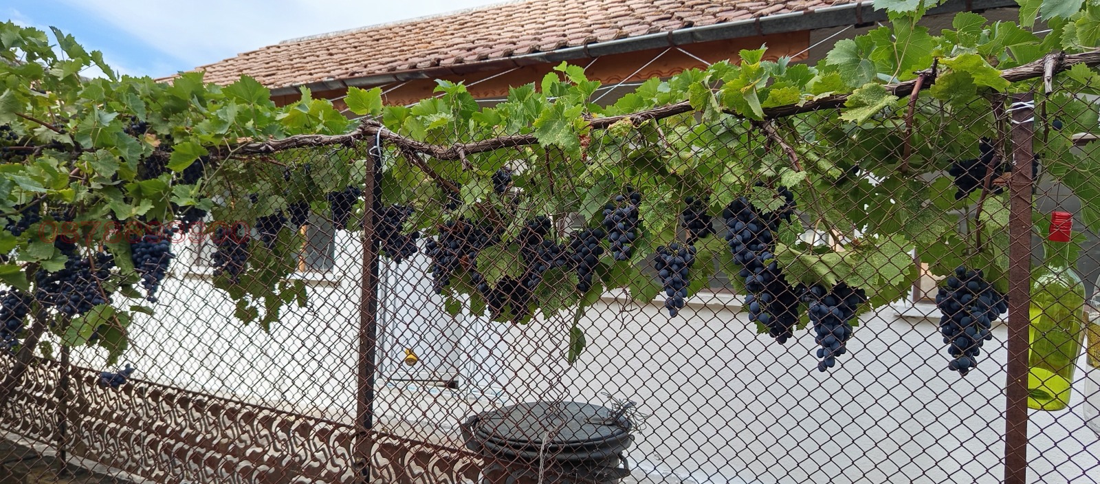 ������� ������������� ������ | Imot.bg � ����������� 17