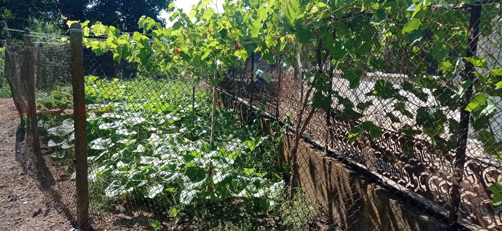 ������� ������������� ������ | Imot.bg � ����������� 7