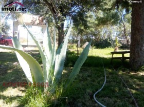 ������� ������, ����� | Imot.bg � ����� ������ 13