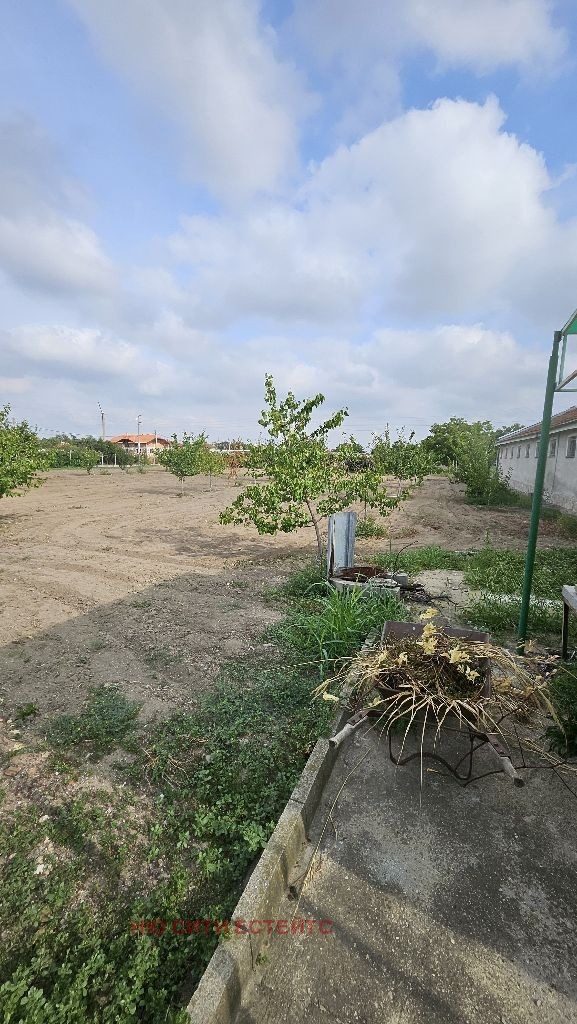 Продава  Пром. помещение област Пловдив , с. Цалапица , 5000 кв.м | 76865794 - изображение [7]