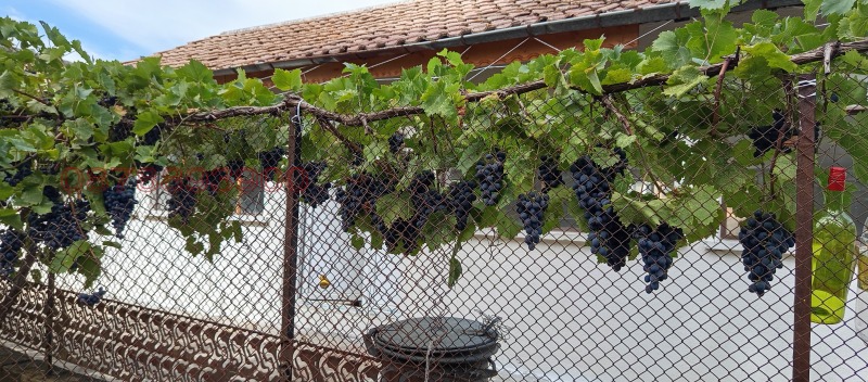 Продава БИЗНЕС ИМОТ, гр. Ловеч, Продимчец, снимка 16 - Други - 52944254