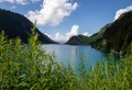 Продава ПАРЦЕЛ, м-т Цигов чарк, област Пазарджик, снимка 2