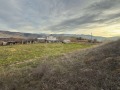 Продава ЗЕМЕДЕЛСКА ЗЕМЯ, гр. Перущица, област Пловдив, снимка 2