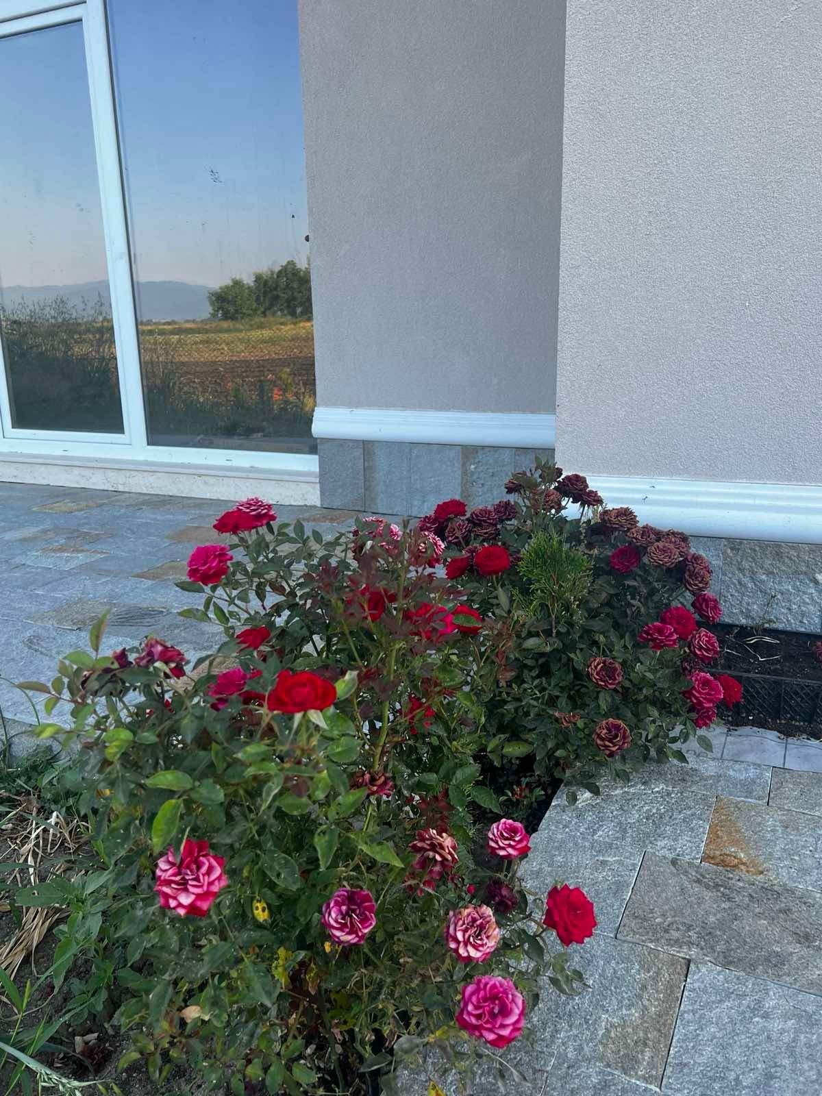 ������� ���� | Imot.bg � ����������� 1