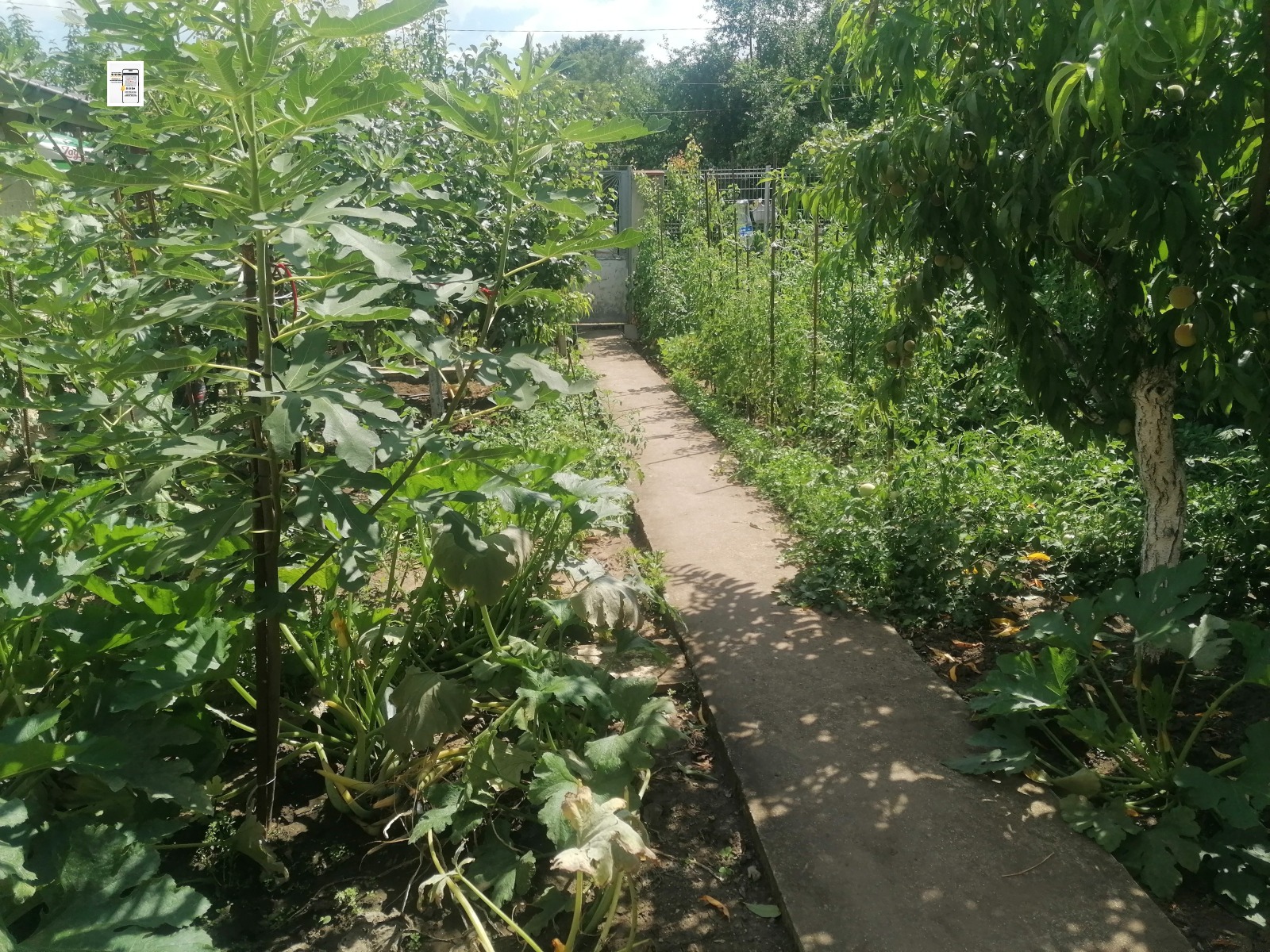 ������� ���� | Imot.bg � ����������� 3