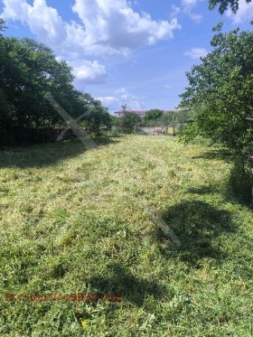 Продава  Парцел, с. Цалапица
