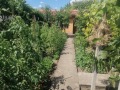 Продава  Къща град Добрич , Пинета , 85 кв.м | 75085689 - изображение [6]