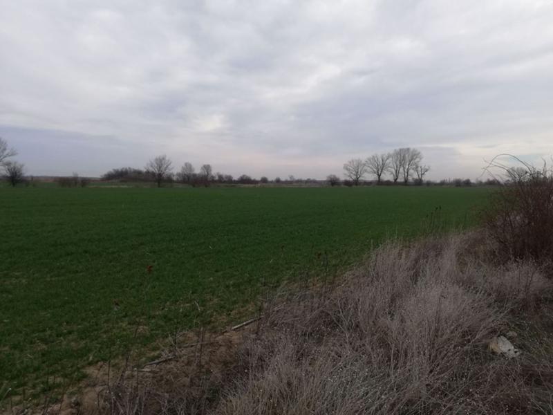 ������� ������ | Imot.bg � ����������� 5