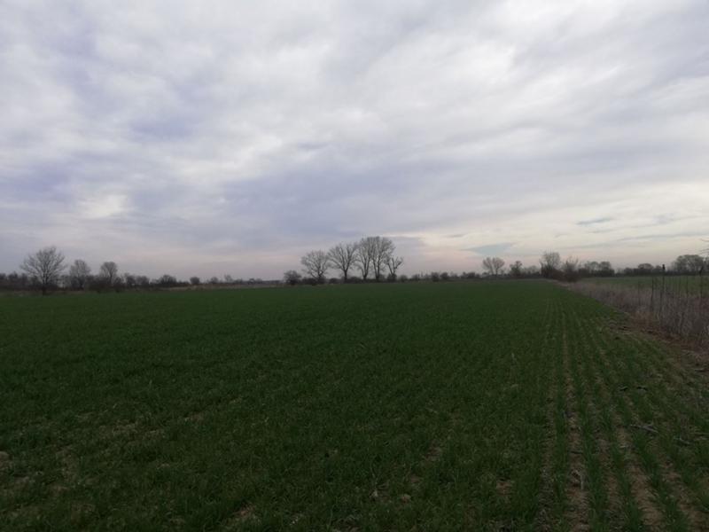 ������� ������ | Imot.bg � ����������� 2