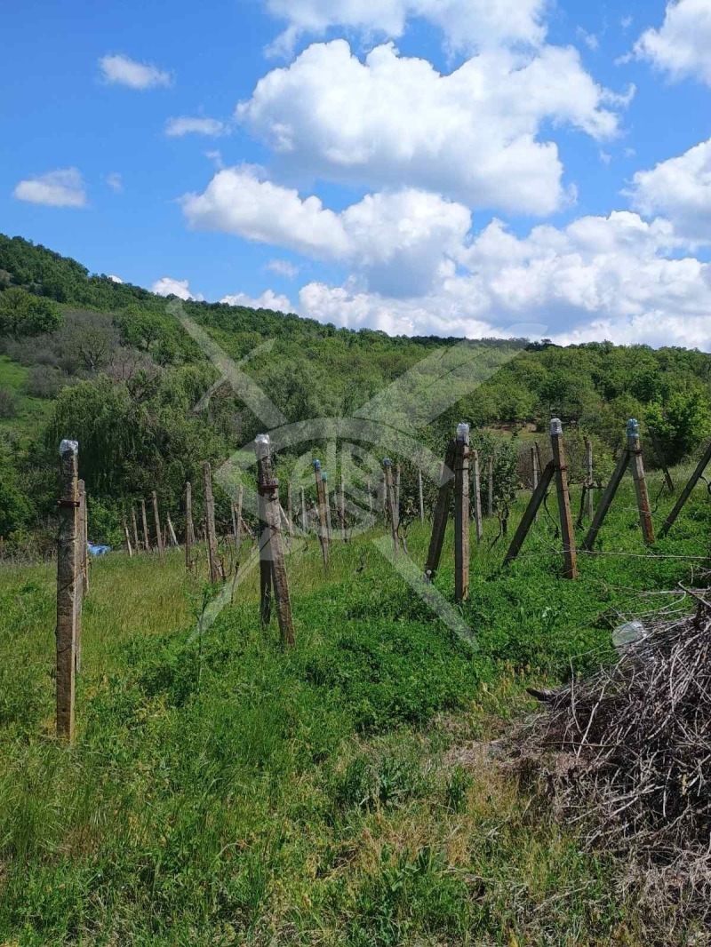 Продава ПАРЦЕЛ, с. Белила, област Бургас, снимка 2 - Парцели - 52993884