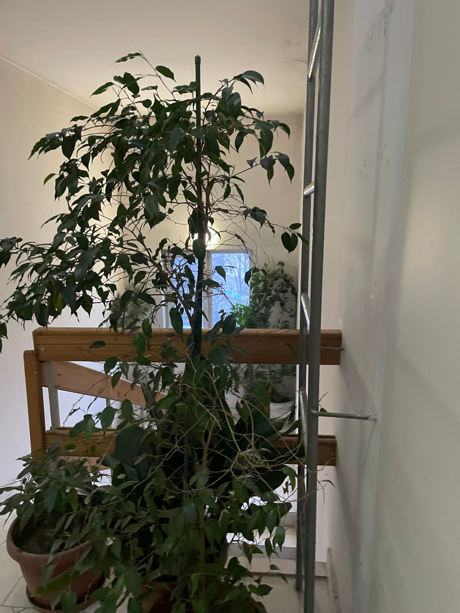 ������� 3-����� | Imot.bg � ����������� 9