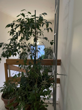 ������� 3-����� | Imot.bg � ����� ������ 9