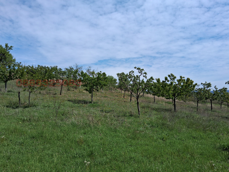 Продава ПАРЦЕЛ, с. Крайници, област Кюстендил, снимка 11 - Парцели - 52783556