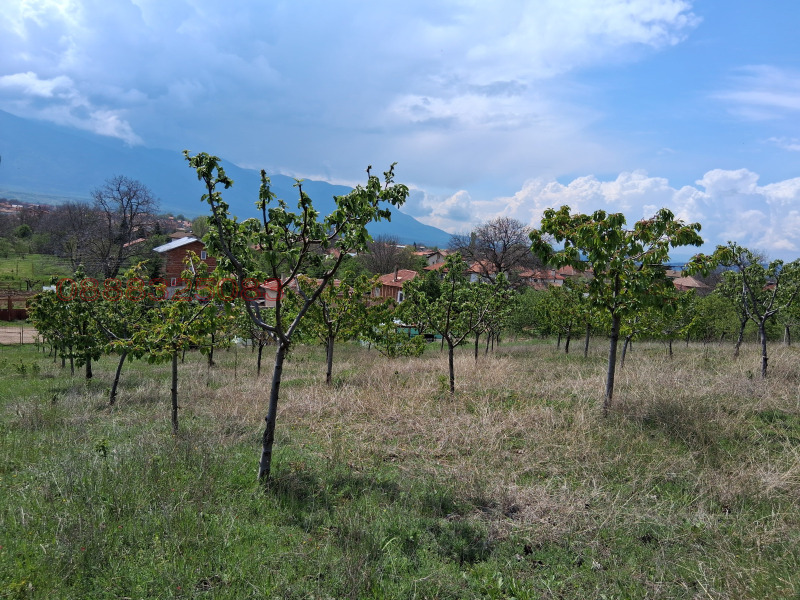 Продава ПАРЦЕЛ, с. Крайници, област Кюстендил, снимка 8 - Парцели - 52783556