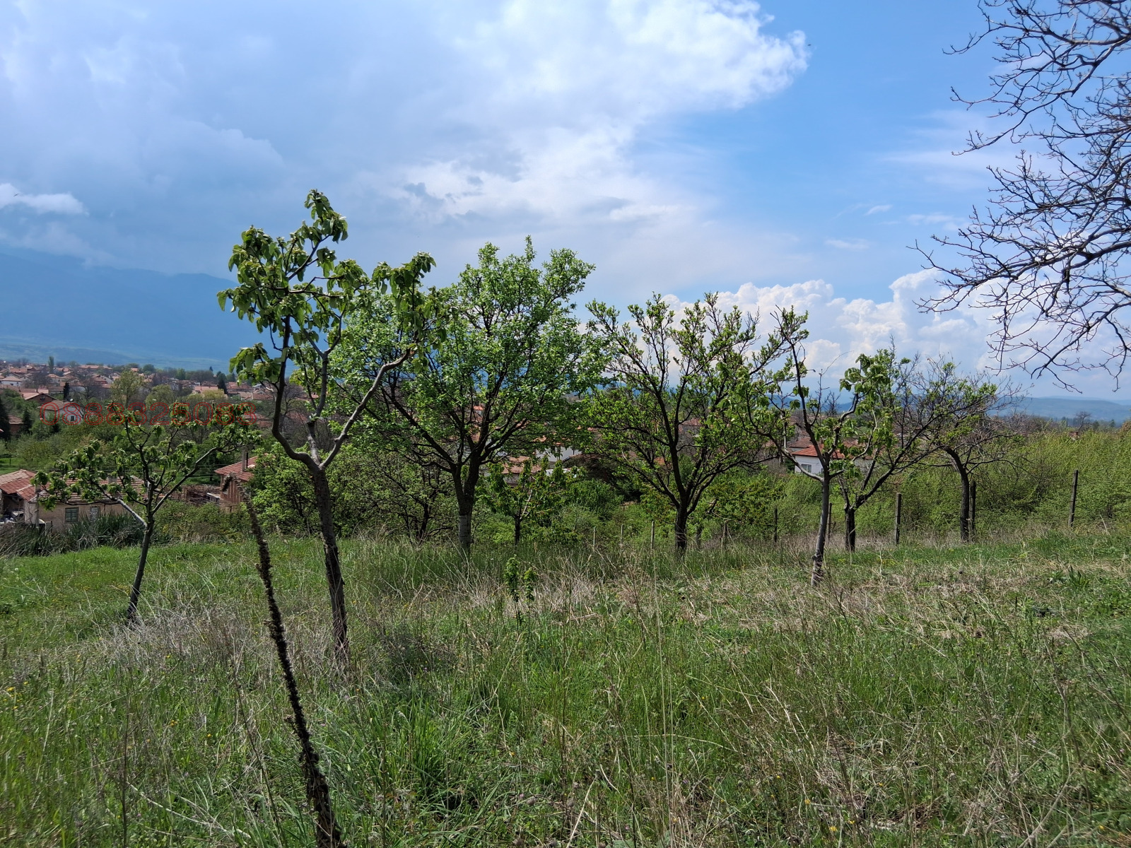 Продава ПАРЦЕЛ, с. Крайници, област Кюстендил, снимка 9 - Парцели - 54193491