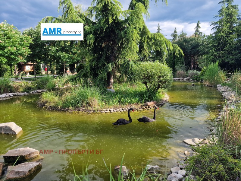 Продава 1-СТАЕН, област Бургас, к.к. Слънчев бряг • 81000 € / 158422.23 лв. • 25054158 1