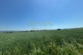 Продава ПАРЦЕЛ, гр. Игнатиево, област Варна, снимка 2