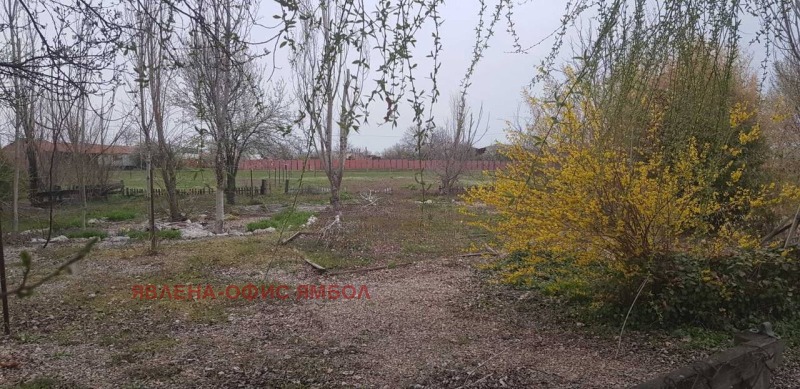 Продава  Парцел област Ямбол , с. Болярско , 1200 кв.м | 81384585 - изображение [4]