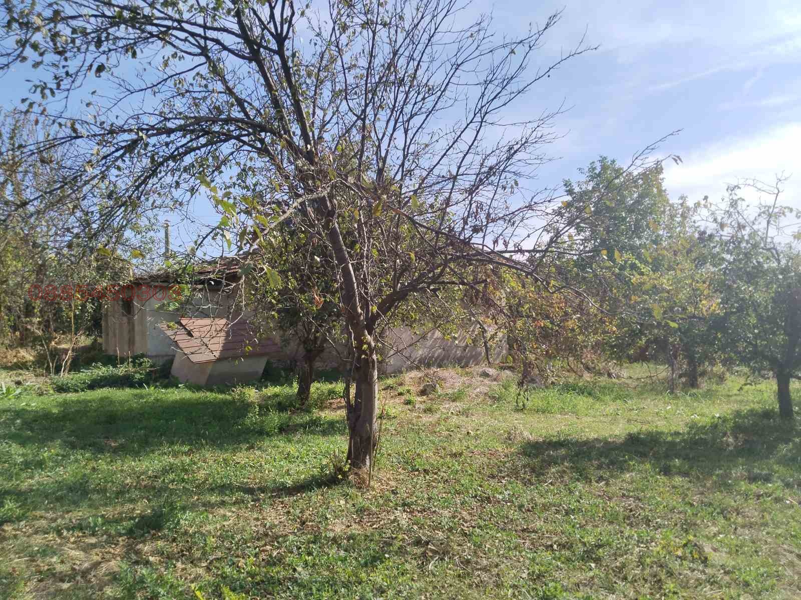 Продава КЪЩА, с. Кривина, област Русе, снимка 5 - Къщи - 56634079