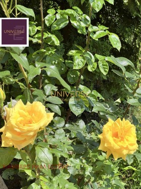 ������� 2-����� | Imot.bg � ����� ������ 15