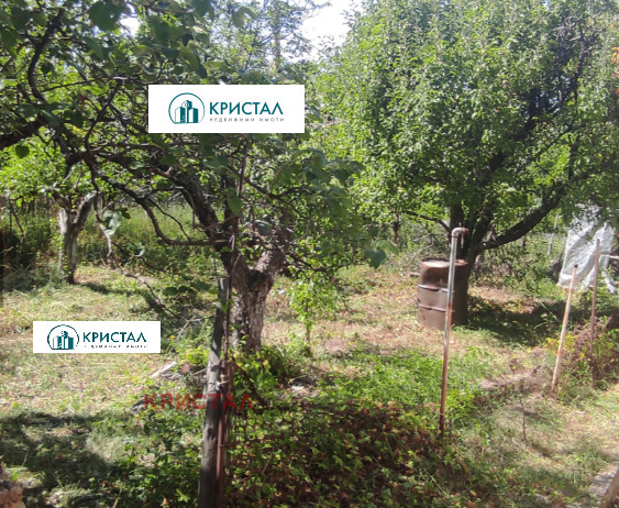 Продава  Къща област Пловдив , с. Цар Калоян , 105 кв.м | 91703162 - изображение [4]