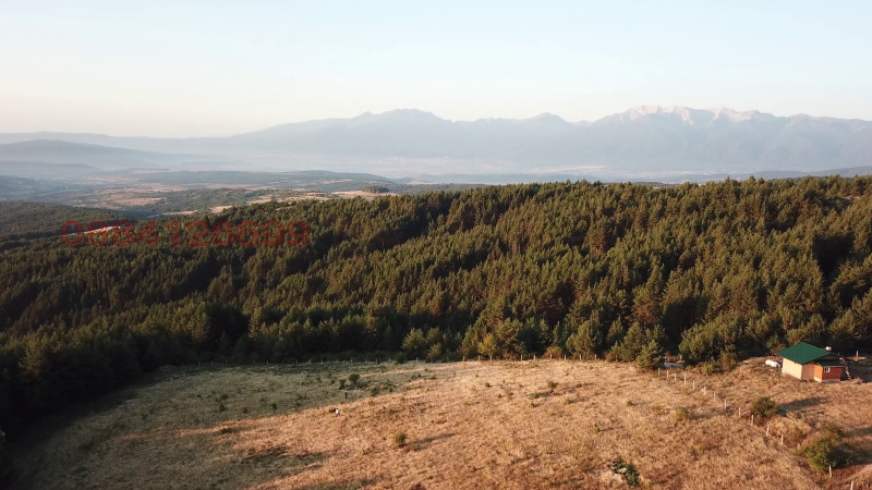 Na prodej  Spiknutí oblast Blagoevgrad , Dobarsko , 2587 m2 | 63468074